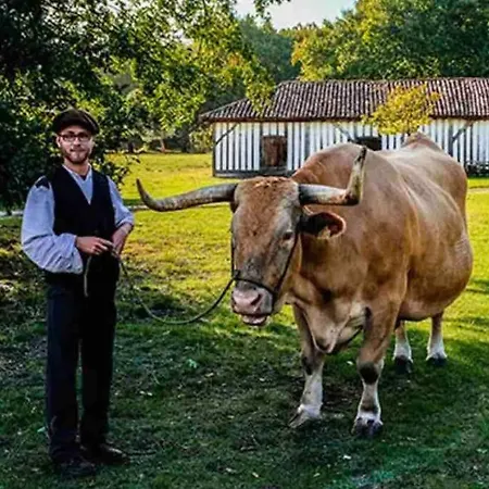 بيت للعطل L Airial Du Gemmeur